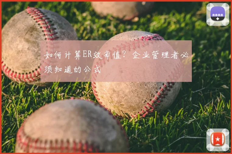 如何计算ER效率值?企业管理者必须知道的公式