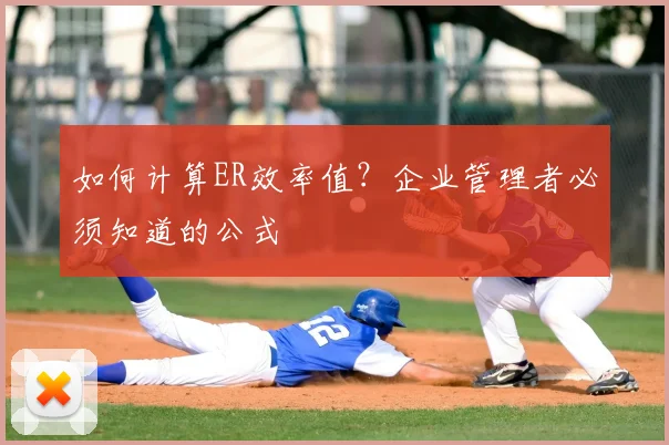 如何计算ER效率值？企业管理者必须知道的公式