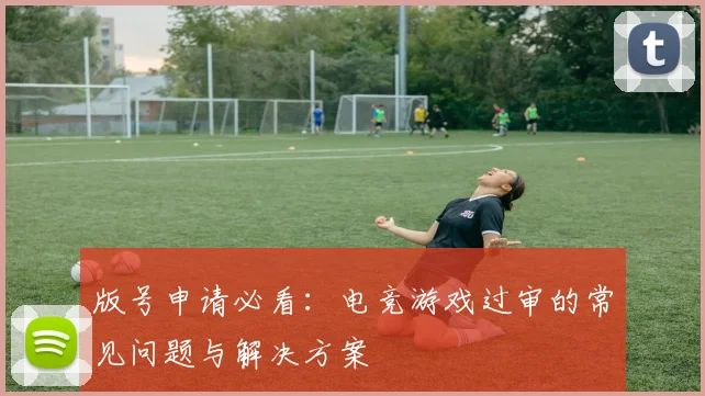 版号申请必看：电竞游戏过审的常见问题与解决方案