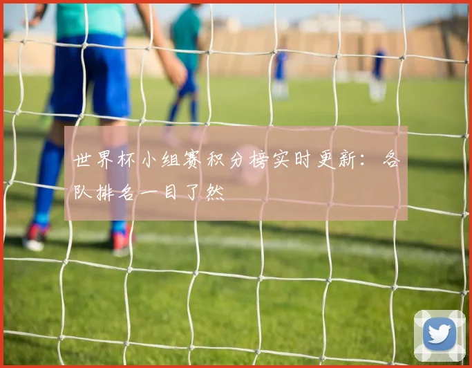 世界杯小组赛积分榜实时更新:各队排名一目了然